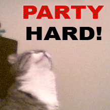 628.gif