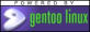 gentoo.jpg