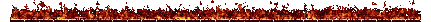 line1.gif