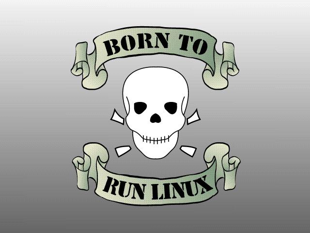 BornToRunLinux.jpg
