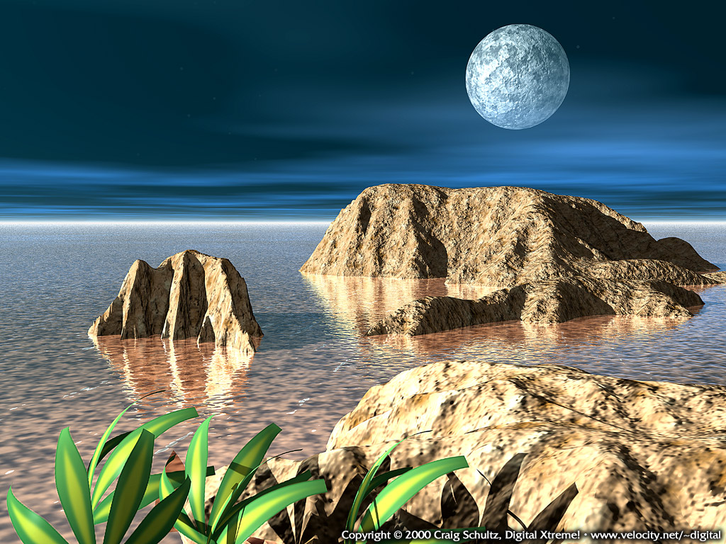 moonlightparadise.jpg